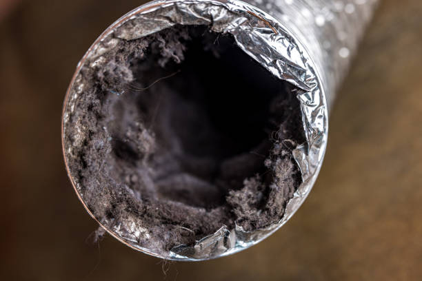 Best Duct Cleaning for Offices  in Pine Beach, NJ